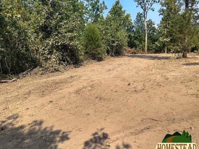 Nice Clearing Off The Beaten Path : Summersville : Shannon County : Missouri