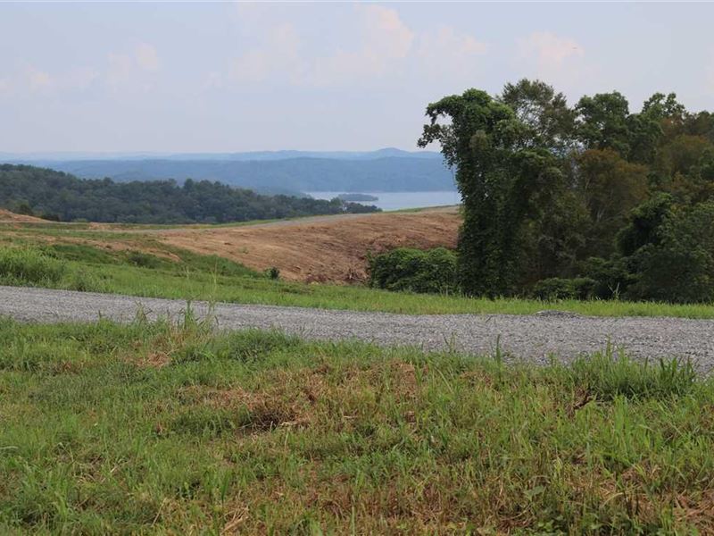 Lake Life on Dale Hollow Lake 16 : Burkesville : Cumberland County : Kentucky