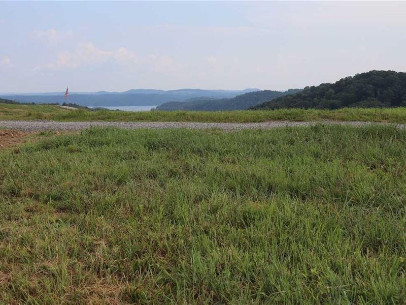 Lake Life on Dale Hollow Lake 15 : Burkesville : Cumberland County : Kentucky