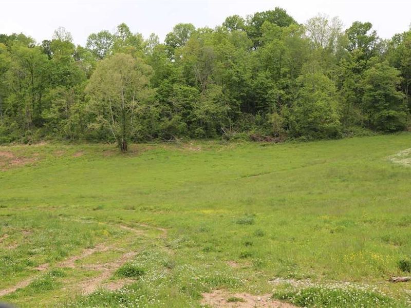 250 Acres of Farm, Hunting, and Rec : Tompkinsville : Monroe County : Kentucky