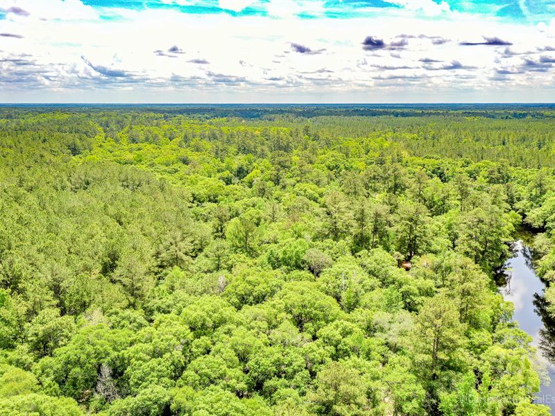 108 Acres Satilla River Retreat : Hortense : Brantley County : Georgia