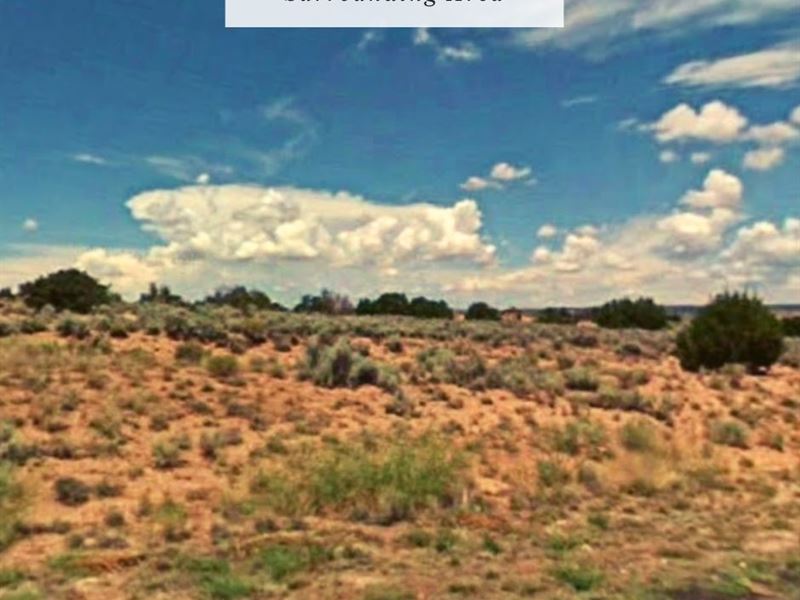 9.25 Acres Only $1 Down, $399/Mo : Sanders : Apache County : Arizona