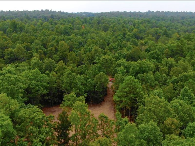 Owner Financed Acreage, The Ozarks : Viola : Fulton County : Arkansas