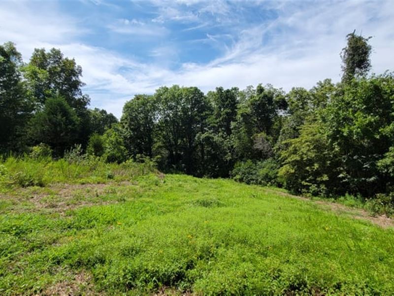 Hunting Property for Sale : Drury : Douglas County : Missouri