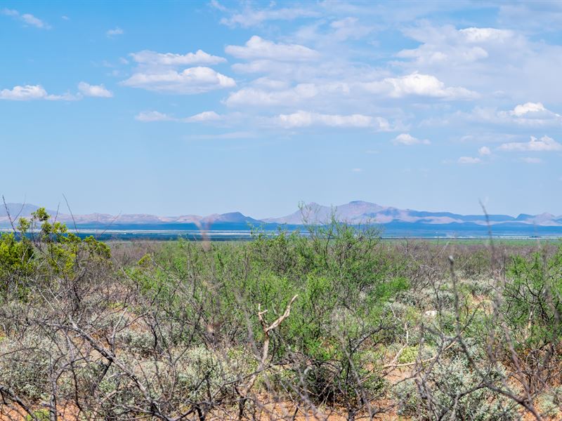Enjoy Sunsets on This Divine 2 Acre : Bisbee : Cochise County : Arizona