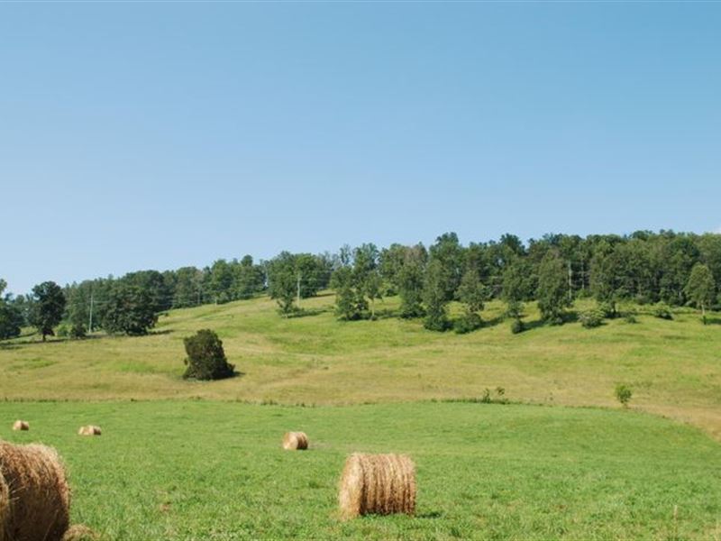 Beautiful Farm with Barns and Silos : Rutledge : Grainger County : Tennessee