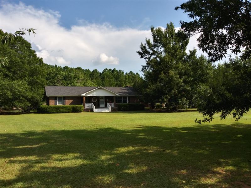 Ski Pond Road : Sylvania : Screven County : Georgia