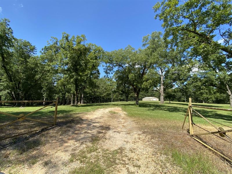 390 Acres in Lee County : Smiths Station : Lee County : Alabama