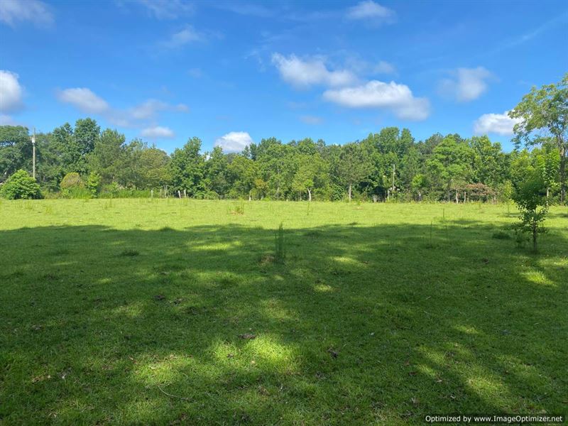7 Ac in Rankin County, MS : Florence : Rankin County : Mississippi