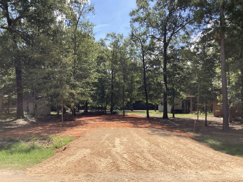 Lake Livingston RV Pad & Culvert : Livingston : Polk County : Texas