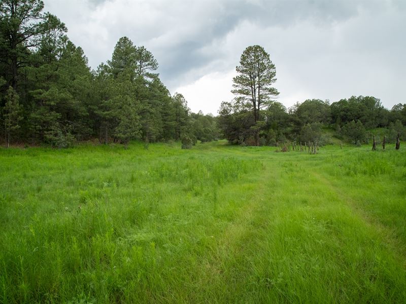 Myers Canyon Ranch Land for Sale in Mayhill, Otero County, New Mexico