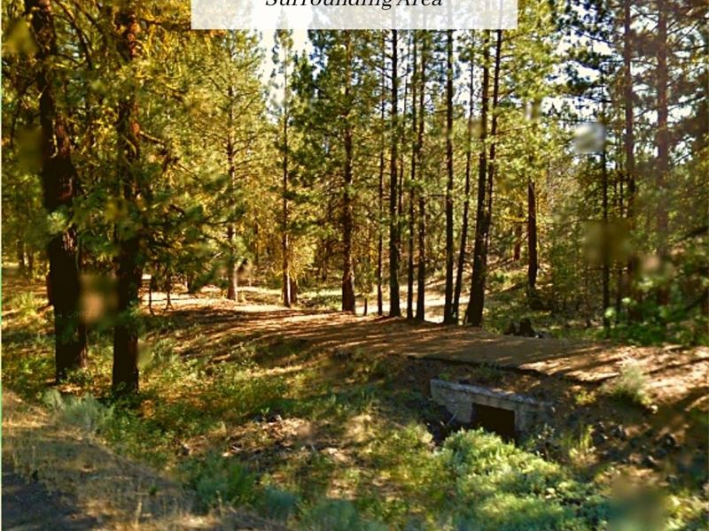 1.523 Acres Only $1Down, $299/Mo : Alturas : Modoc County : California