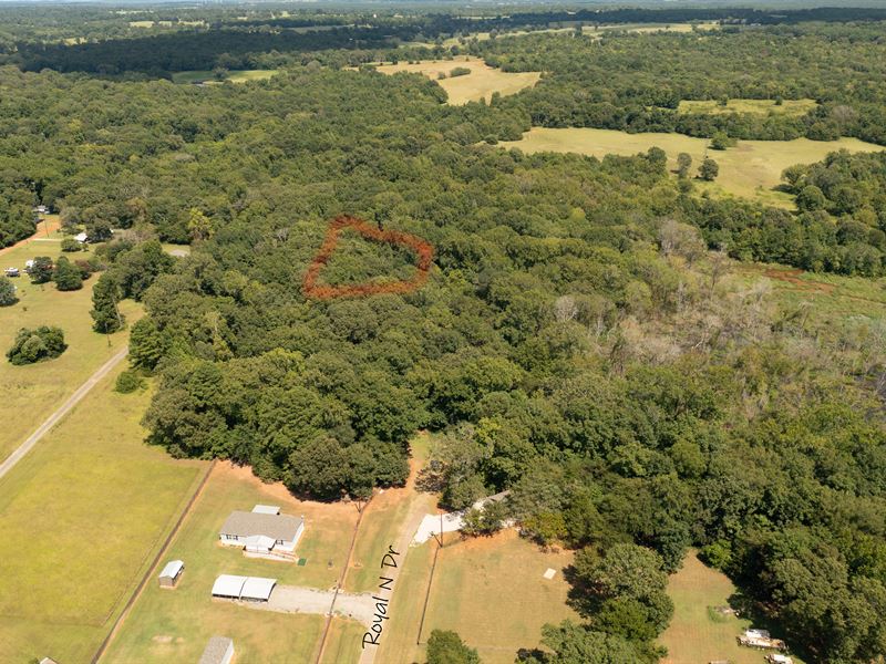 Beautiful 0.27 Acre Wooded Lot : Bullard : Cherokee County : Texas