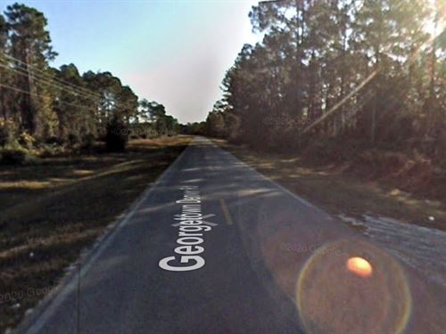 Nice Property in Putnam County : Georgetoen : Putnam County : Florida