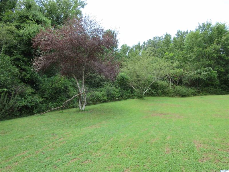 40 Acres of Peace : Dutton : Jackson County : Alabama