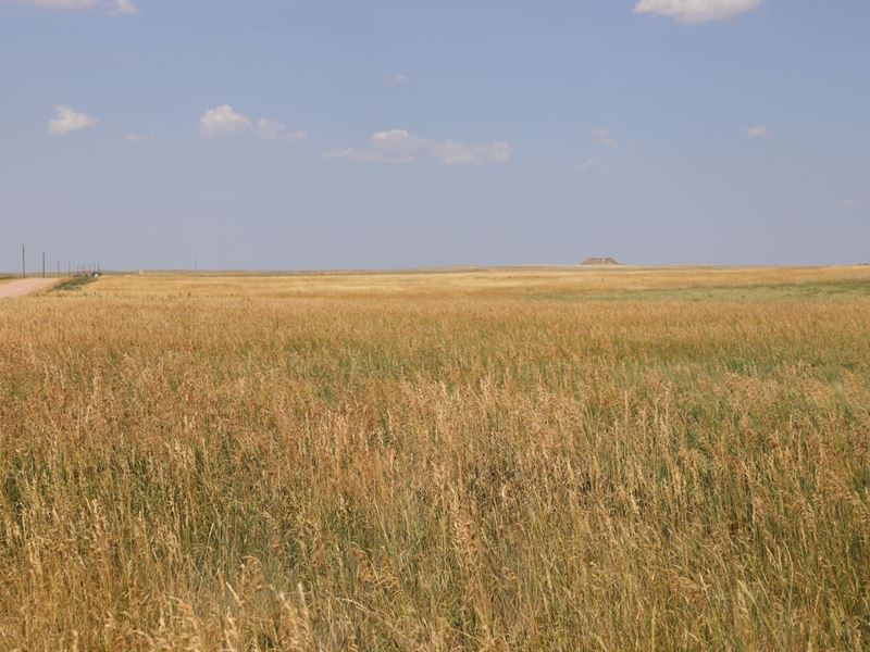 Wells, Crp, & Dryland : Akron : Washington County : Colorado