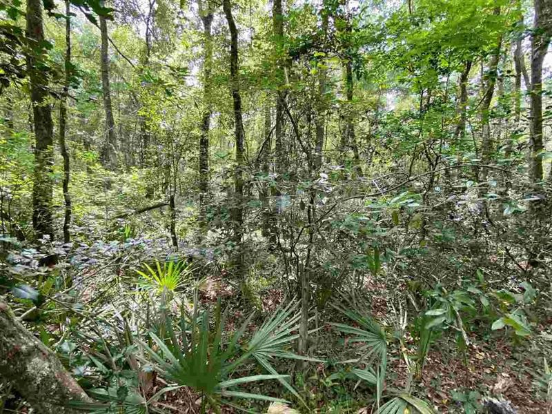 1.21 Acres on Withlacoochee River : Lee : Madison County : Florida