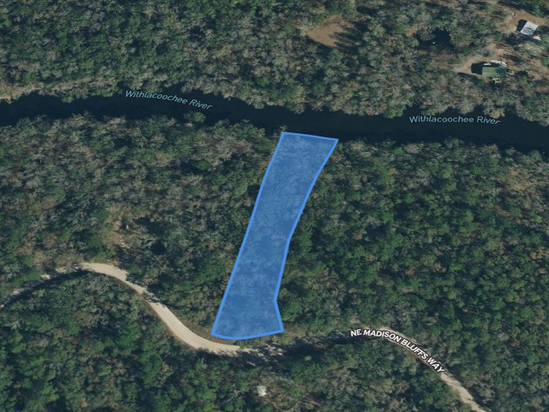 1.38 Acres on Withlacoochee River : Lee : Madison County : Florida