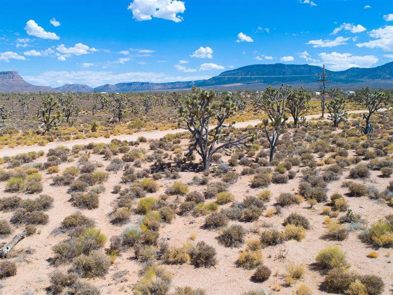 Endless Possibilities On This Land : Yucca : Mohave County : Arizona