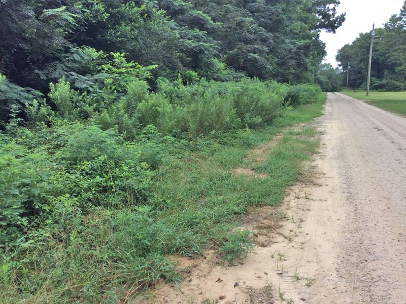 Forest Hill Tract : Troy : Pike County : Alabama