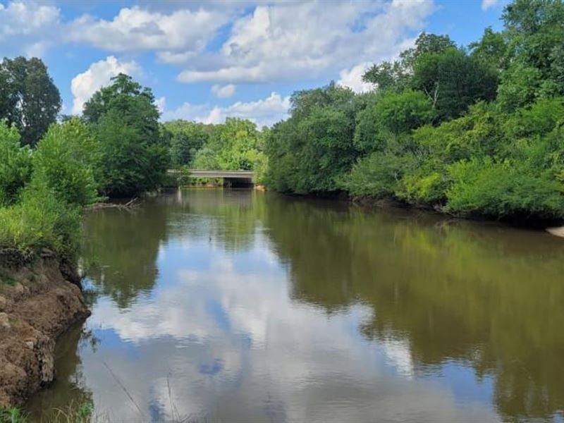 145 Acres Hatchie River Frontage : Bolivar : Hardeman County : Tennessee