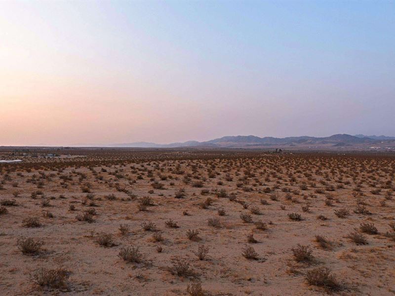 20 Ac in Ca, Just $7,500 Down : Twentynine Palms : San Bernardino County : California