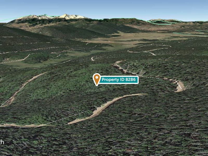 Colorado Mountaintop Property : Fort Garland : Costilla County : Colorado