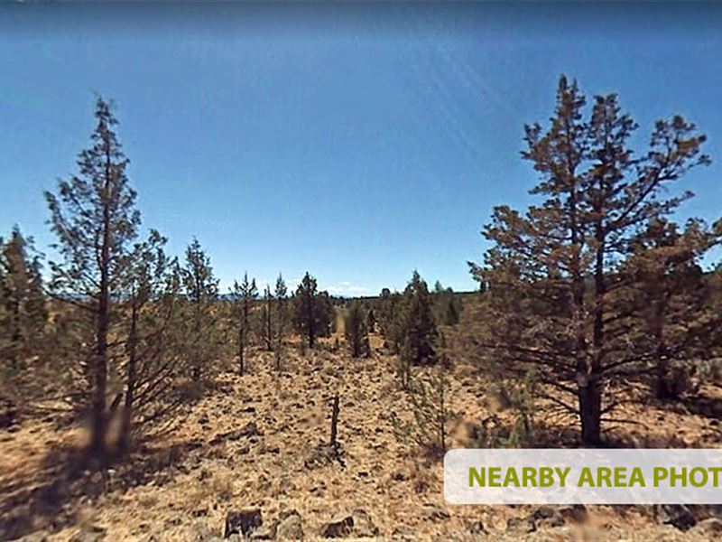 .92 Ac Land for Sale in Lookout, CA : Lookout : Modoc County : California