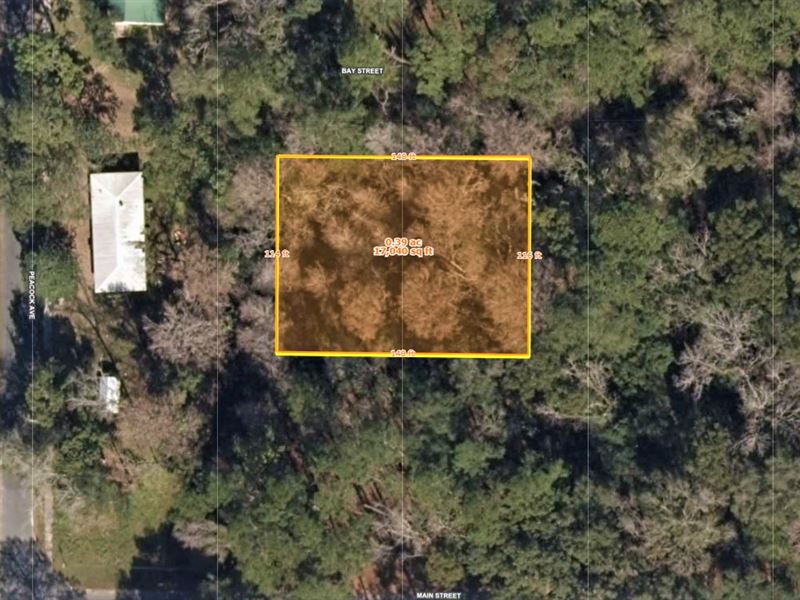 Rural Lot with Access to Amenities : Perry : Taylor County : Florida
