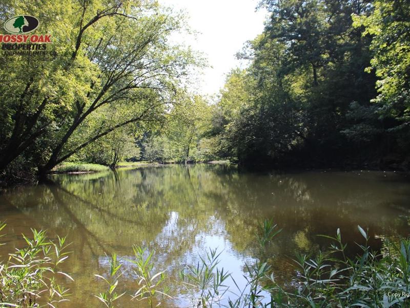 157 Acre on Point Remove Creek : Hattieville : Conway County : Arkansas