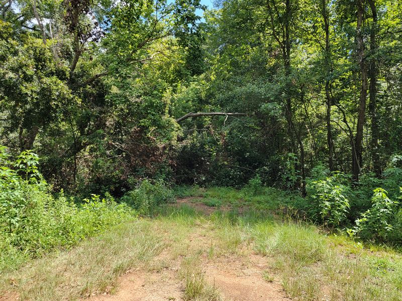 Beautiful Lot Near River : Bullard : Cherokee County : Texas