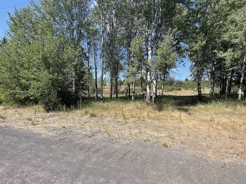 .26 Acres of Gorgeous Lake Views : Chiloquin : Klamath County : Oregon