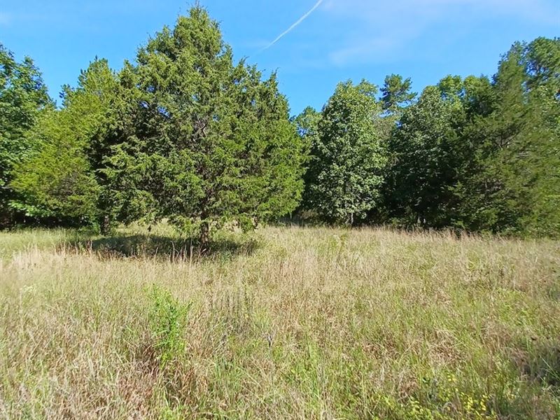 Land Joining National Forest : Willow Springs : Howell County : Missouri