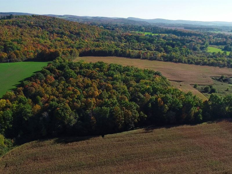Full Utilities Available to Develop : Cazenovia : Madison County : New York
