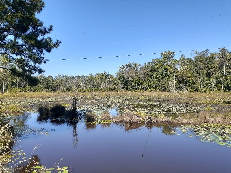 Pond, Civil War History : Macon : Jones County : Georgia