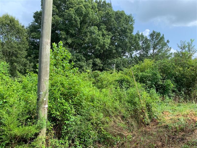6.91 AC On The Silver Comet Trail : Cedartown : Polk County : Georgia