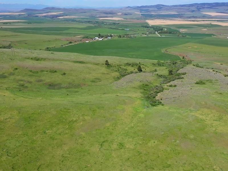 122 Acres on Flathead Pass : Belgrade : Gallatin County : Montana