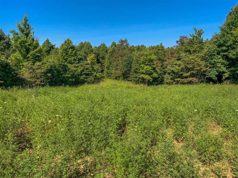 Cannelville Rd, 152 Acres, Muskin : Roseville : Muskingum County : Ohio