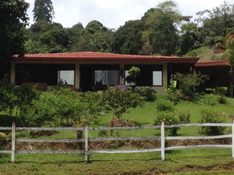 15.5 Acre Mountain Horse Farm : La Suiza : Costa Rica