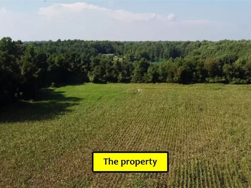 1 Acre Agricultural Land : Harrington : Kent County : Delaware