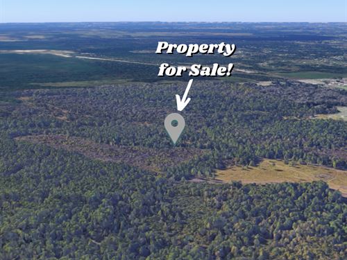 New Smyrna Beach Florida Land For Sale By Owner Fsbo Landflip New Smyrna Beach Florida Land For Sale By Owner Fsbo Landflip