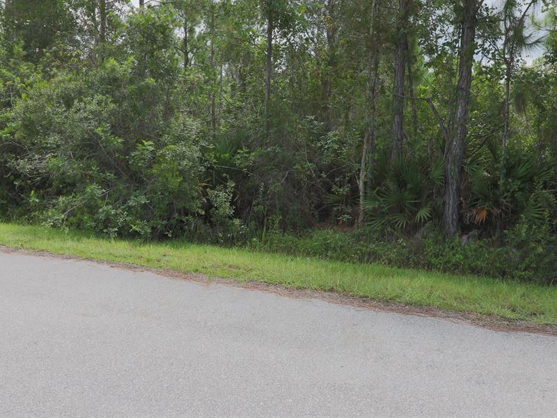 Power Available on This 0.20 Ac Lot : Punta Gorda : Charlotte County : Florida