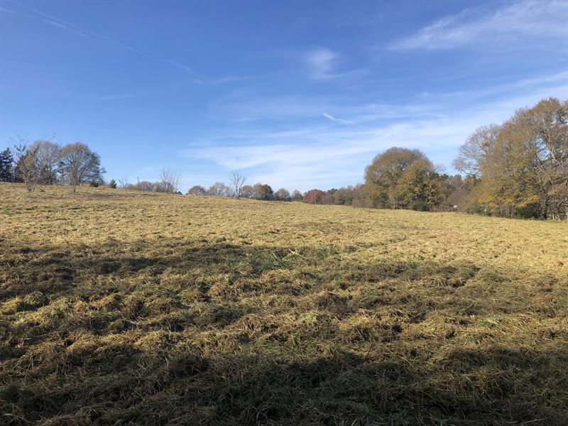 Townville Farm and Homesite Land for Sale in Townville, Anderson