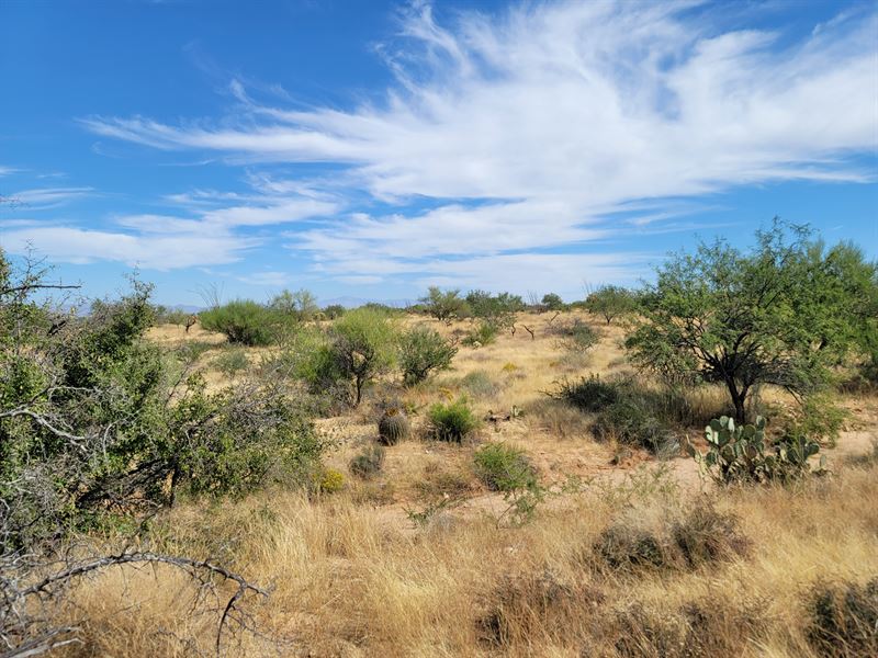 One Acre in Tucson : Tucson : Pima County : Arizona