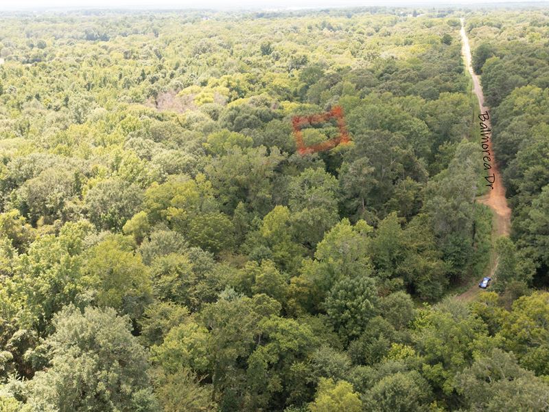 Beautiful 0.28 Acre Wooded Lot : Bullard : Cherokee County : Texas
