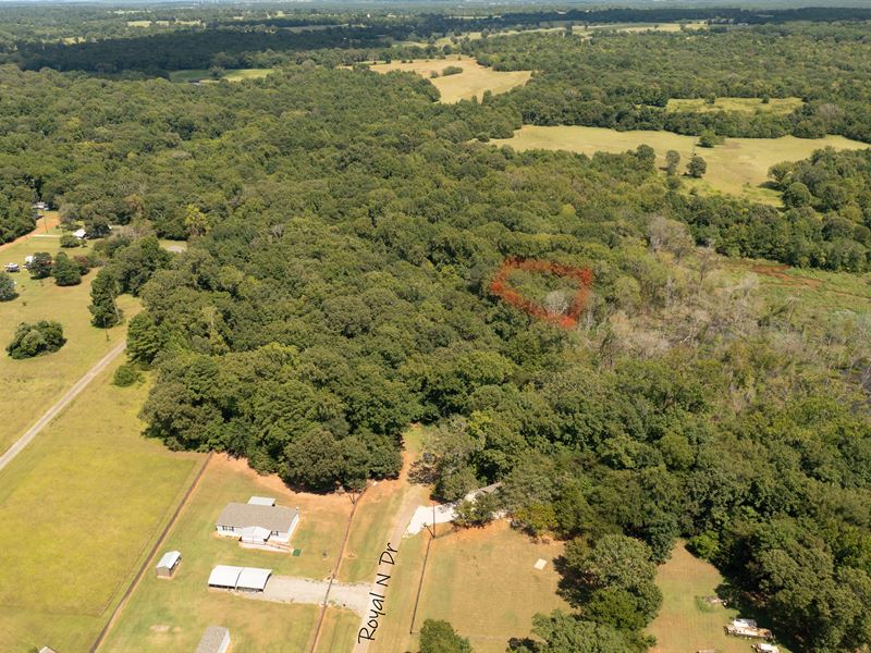 Beautiful 0.20 Acre Wooded Lot : Bullard : Cherokee County : Texas