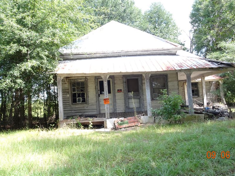Recreational Tract Close to Macon : Gordon : Wilkinson County : Georgia