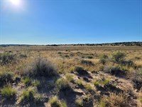 2 Acres with Power Within Reach : Puerco : Apache County : Arizona