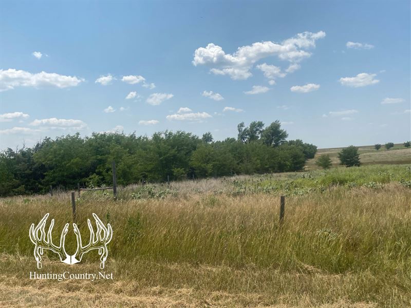 320 Acres M/L of Meade County, KS : Fowler : Meade County : Kansas