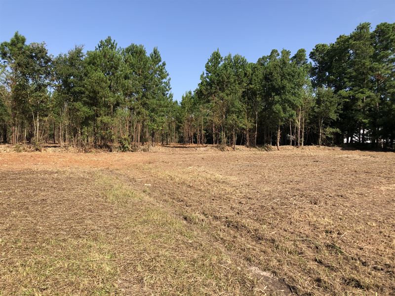 Land for Sale, Beaufort County, NC : Belhaven : Beaufort County : North Carolina